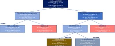 Assessment of progesterone levels on the day of pregnancy test determination: A novel concept toward individualized luteal phase support